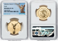 Estados Unidos gold Reverse Proof "Libertad" 1/2 Onza 2022-Mo PR70 NGC, Mexico City mint, KM674. HID09801242017 © 2022 Heritage Auctions | All Rights ...