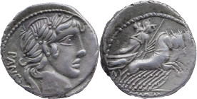 Roman Republic
C. VIBIUS C.F. PANSA. Rome. Circa 90 BC. AR Denarius 4.00 g. PANSA, Laureate head of Apollo right; star to lower right / C VIBIVS C F,...