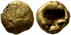 IONIA. Uncertain. Circa 650-600 BC. 1/36 Stater (?) (Electrum, 5 mm, 0.43 g). Plain surface. Rev. Rough incuse punch. Karwiese, Artemision, Type I.1 (...