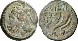 PTOLEMAIC KINGS OF EGYPT. Ptolemy VIII Euergetes II (Physcon), second reign, 145-116 BC. Drachm (Bronze, 46 mm, 66.80 g, 1 h), Kyrene. Diademed head o...