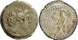 PTOLEMAIC KINGS OF EGYPT. Ptolemy VIII Euergetes II (Physcon), second reign, 145-116 BC. Hemidrachm (Bronze, 45 mm, 41.00 g, 12 h), Kyrene. Diademed h...