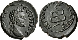 THRACE. Augusta Traiana. Septimius Severus , 193-211. Assarion (Bronze, 20 mm, 4.40 g, 1 h). AY K Λ CЄ CЄYHPOC Laureate head of Septimius Severus to r...