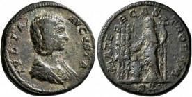 Julia Domna, Augusta, 193-217. As (Copper, 25 mm, 10.16 g, 12 h), Rome, 196-211. IVLIA AVGVSTA Draped bust of Julia Domna to right. Rev. MATER CASTROR...