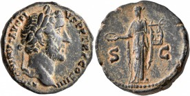 Antoninus Pius, 138-161. As (Copper, 25 mm, 13.86 g, 12 h), Rome, 145-161. ANTONINVS AVG PIVS P P TR P COS IIII Laureate head of Antoninus Pius to rig...