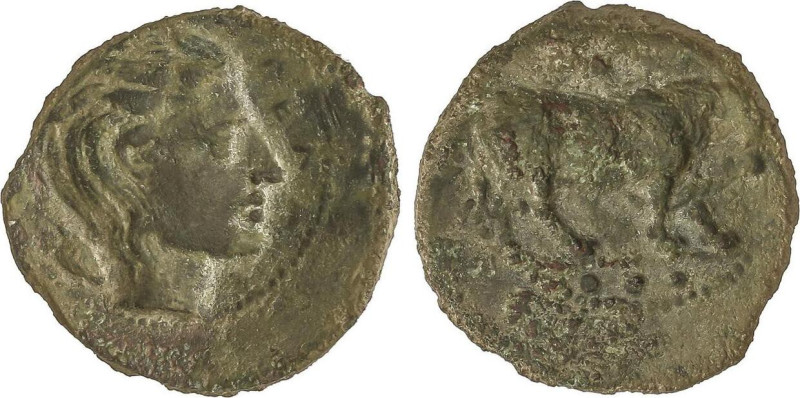 Tetras. 420-405 a.C. GELA. SICILIA. Anv.: Cabeza cornuda de Gela a derecha. Rev....