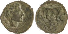 Tetras. 420-405 a.C. GELA. SICILIA. Anv.: Cabeza cornuda de Gela a derecha. Rev.: Toro a derecha. 3,23 grs. AE. HGC 2 -380. MBC.