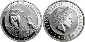 1 Oz AR
Australia, Kookaburra 2017
31,10 g