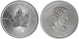 1 OZ AR
Canada Maple Leaf 2015
31,10 g