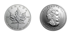 1 OZ AR
Canada Maple Leaf 2006
31,10 g