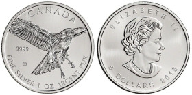 1 OZ AR
5 Dollars, Canada, Red-Tailed Hawk, 2015
31,10 g