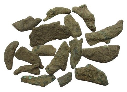 Dolphin Money of Olbia