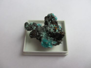 Aurihalcite, Christmas Mine, Arizona, USA

10 g