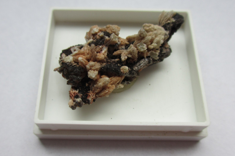 Mimetesite, Tsumed, Namibia

7 g