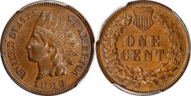 1888 Indian Cent. MS-64 BN (PCGS).
PCGS# 2166. NGC ID: 228G.

Estimate: $175