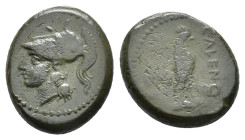 Northern Campania, Cales, c. 265-240 BC. Æ (19.5mm, 5.77g). Helmeted head of Athena l. R/ Cock standing r.; star to l. Sambon 916; HNItaly 435; SNG AN...