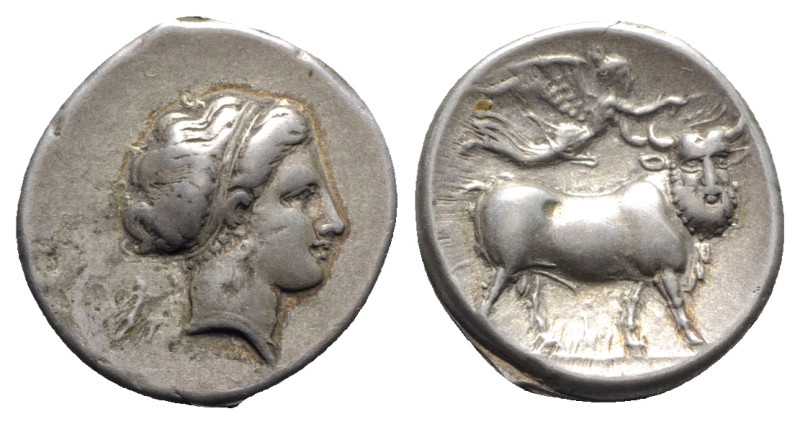Southern Campania, Neapolis, 300-275 BC. AR Didrachm (23mm, 7.29g, 12h). Head of...