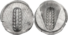 Southern Lucania, Metapontion, c. 540-510 BC. AR Stater (31mm, 8.15g). Ear of barley with eight grains. R/ Incuse ear of barley with seven grains. Noe...