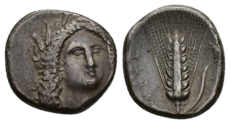 Southern Lucania, Metapontion, c. 330-290 BC. AR Stater (18mm, 7.73g). Head of D...