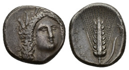 Southern Lucania, Metapontion, c. 330-290 BC. AR Stater (18mm, 7.73g). Head of Demeter facing slightly r. R/ Barley ear with leaf to r.; bucranium abo...