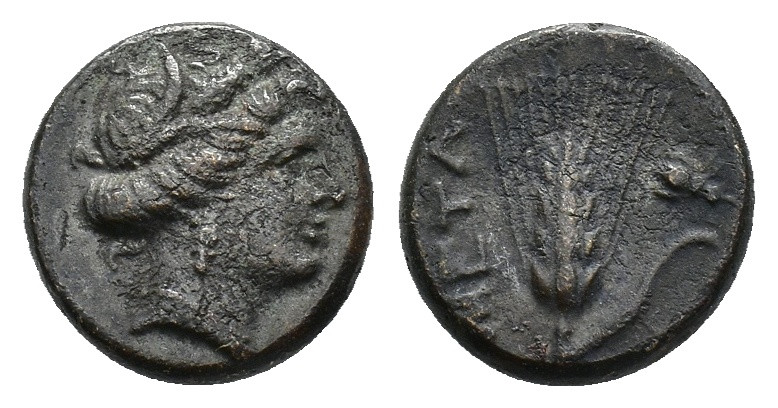Southern Lucania, Metapontion, c. 300-250 BC. Æ (13mm, 3.00g). Wreathed head of ...