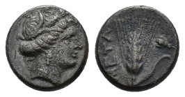 Southern Lucania, Metapontion, c. 300-250 BC. Æ (13mm, 3.00g). Wreathed head of Demeter r. R/ Grain ear with stem to r.; fly to r. Johnston Bronze 62;...