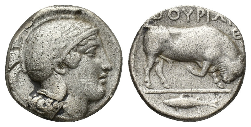 Southern Lucania, Thourioi, c. 443-400 BC. AR Stater (20mm, 7.35g). Helmeted hea...