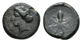 Sicily, Syracuse, c. 400 BC. Æ Tetras (13mm, 3.50g). Head of Arethusa l., hair in sphendone. R/ Octopus. CNS II, 14; SNG ANS 389-91; HGC 2, 1430. Near...
