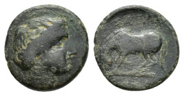 Thessaly, Larissa, c. 400-350 BC. Æ Dichalkon (16mm, 3.32g). Head of Nymph Larissa r. R/ Horse crouching l., about to roll. BCD Thessaly II 277; HGC 5...