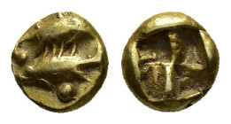 Mysia, Kyzikos, c. 550-500 BC. EL Hemihekte - 1/12 Stater (8mm, 1.34g). Two tunny fish: one above swimming r. and the lower l.; below, pellet. R/ Quad...