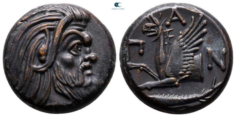 Cimmerian Bosporos. Pantikapaion circa 325-310 BC. 
Bronze Æ

20 mm, 7,61 g
...