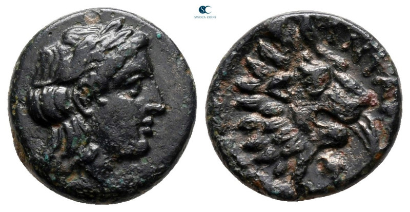 Troas. Antandros circa 350-250 BC. 
Bronze Æ

13 mm, 1,68 g

Laureate head ...