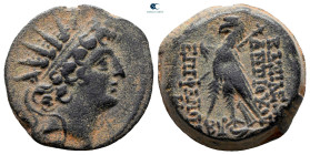 Seleukid Kingdom. Antioch on the Orontes. Antiochos VIII Epiphanes (Grypos) 121-97 BC. Bronze Æ