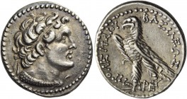 Ptolemy IV Philopator, 221-205. Didrachm, Alexandria 206, AR 6.97 g. Diademed bust of Ptolemy I r., with aegis. Rev. BAΣIΛEΩΣ – ΠTOΛEMAIOY Eagle stand...