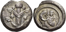 Cyrenaica, Barce. Tetradrachm circa 450-440 BC, AR 16.49 g. Silphium plant with two pairs of leaves and five umbels. Rev. BAP Pearl-diademed, bearded ...