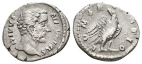 ANTONINUS PIUS (138-161). Denarius. Rome.3.14g 19.2m