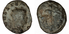 GALLIENUS. Antoninianus. Rome.
Date Range: AD 260 - AD 268

RIC V Gallienus 163: Subtype 1

Obv: GALLIENVS A[VG] ; Head of Gallienus, radiate, ri...