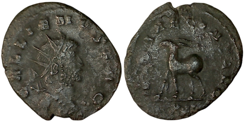 GALLIENUS. Antoninianus. Rome.
Date Range: AD 260 - AD 268

RIC V Gallienus 1...