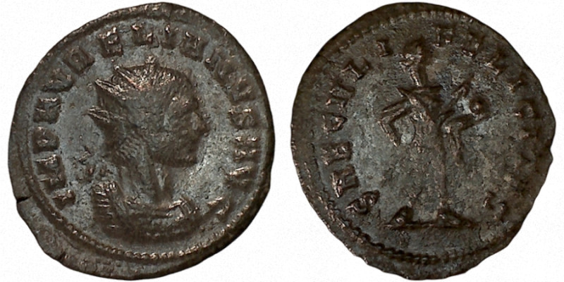 AURELIAN. Antoninianus. Cyzicus.
Date Range: AD 270 - AD 275

RIC V Aurelian ...