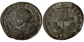 CRISPUS. Æ 2/Æ 3. Siscia.
Date: AD 320

RIC VII Siscia 123

Obv: IVL CRISPVS NOB CAES ; Bust of Crispus, laureate, cuirassed, left, holding spear...