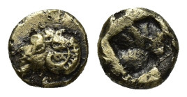 IONIA. Phokaia. EL 1/24 Stater (6.5mm, 0.55 g) (Circa 625/0-522 BC). Obv: Head of ram left; below, small seal left. Rev: Quadripartite incuse square.