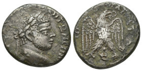 PHOENICIA. Ace-Ptolemais. Caracalla, 198-217. Tetradrachm (Billon, 23mm, 12.00 g), 215-217. ΑΥΤ Κ Μ Α ΑΝΤΩΝЄΙΝΟC CЄΒ Laureate head of Caracalla to rig...