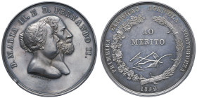 Pierre V 1853-1861
Médaille en argent 1ère exposition agricole portugaise, 1852,
AG 76.61 g. 50 mm par F. B. Freire Avers: D.MARIA II E D. FERNANDO II...