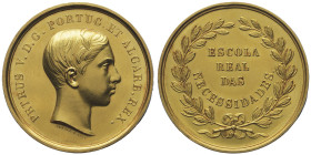 Pierre V 1853-1861
Médaille en or École royale des nécessités, 1856 , AU 60.6 g. 40 mm par Gerard.
Avers : PETRUS.V.D.G.PORTUG.ET ALGARB.REX
Revers : ...