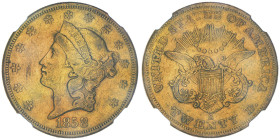 20 Dollars , San Francisco, 1858 S, AU 33.43 g.
Ref : Fr. 175, KM#74.2
Conservation : NGC XF 45