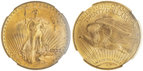 20 Dollars, Denver, 1923 D, AU 33.43 g.
Ref : Fr.187, KM#131
Conservation : NGC MS 64
