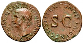 Drusus AE As, large SC reverse 

 Drusus (+23 AD). AE As (28-29 mm, 10.01 g), Rome, 21-22 AD.
Obv. DRVSVS CAESAR TI AVG F DIVI AVG N, bare head of ...