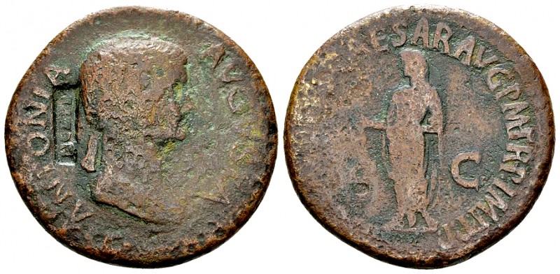 Antonia AE Dupondius, countermarked 

 Antonia (+ 37 AD). AE Dupondius (30 mm,...