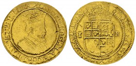 James I AV double crown 

Great Britain. James I. (1603-1625). AV double crown (27-28 mm, 4.36 g), mm. rose.
Obv. Crowned bust to right.
Rev. Crow...
