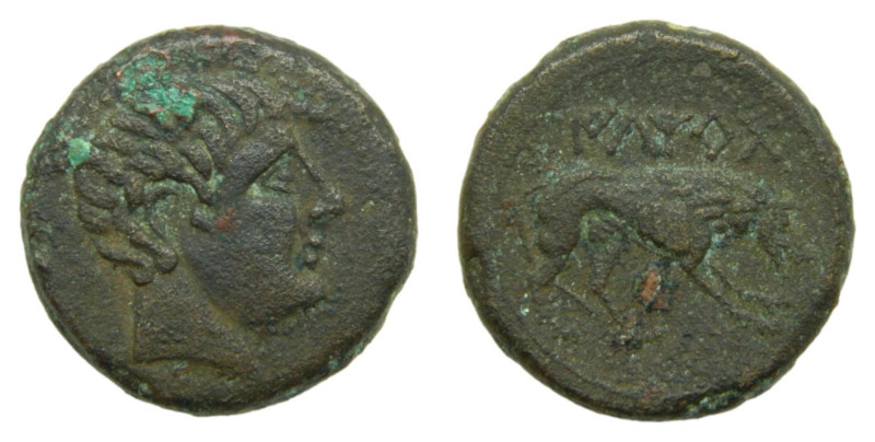 Iltirta (Lleida). Siglo I aC. As. 10,7 gr. AE. ACIP 1273. Rev: lobo a la derecha...