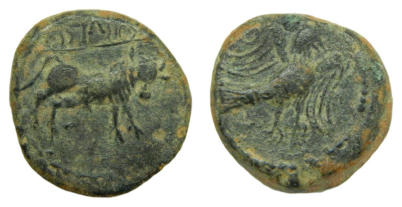 Obulco (Porcuna, Jaén). Siglo II aC. Semis. 8,2 gr. AE. ACIP 2241. Anv: Águila c...